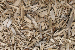 biomass boilers Fagwyr